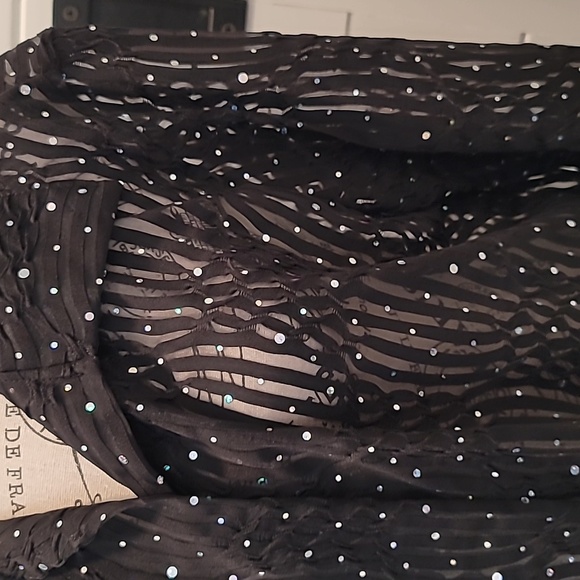 2 Piece Dressy Blouse & Shell Top - Picture 10 of 13